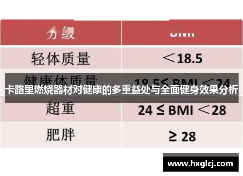 卡路里燃烧器材对健康的多重益处与全面健身效果分析
