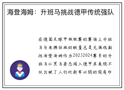 海登海姆：升班马挑战德甲传统强队