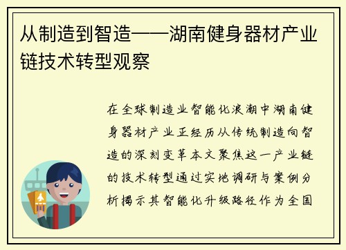 从制造到智造——湖南健身器材产业链技术转型观察