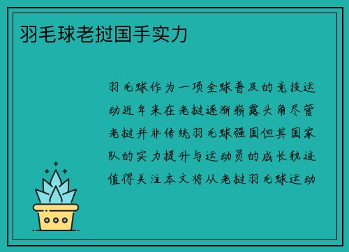 羽毛球老挝国手实力