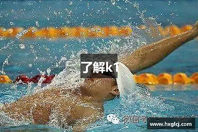 了解k1